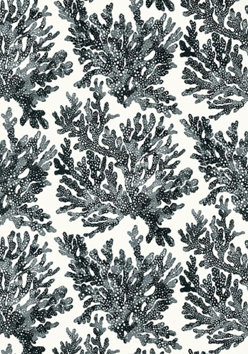 MARINE CORAL T10123